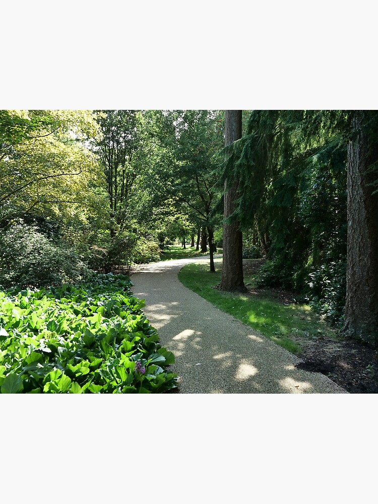 Garden path looks beautiful in sunlight by santoshputhran