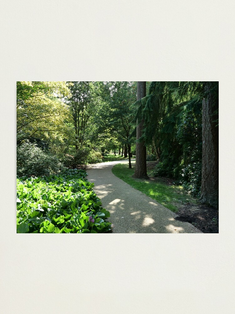 Alternate view of Garden path looks beautiful in sunlight Photographic Print