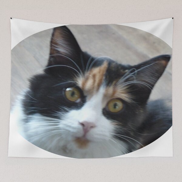 Item preview, Calico pussy flea designed and sold by Martin Boisvert.