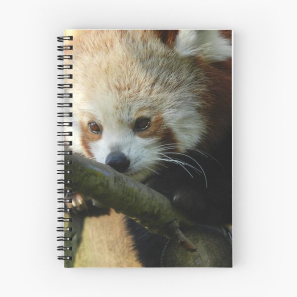 Item preview, Red Panda Print 1 designed and sold by NonfatalNerdism.