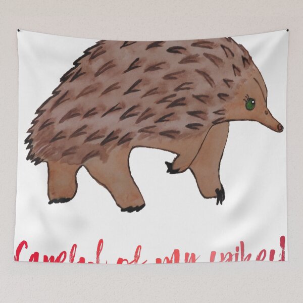 Item preview, Careful of my spikes Echidna designed and sold by ABY-Creative.