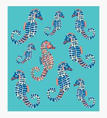 Seahorses Marine Coral Texture Photographic Print