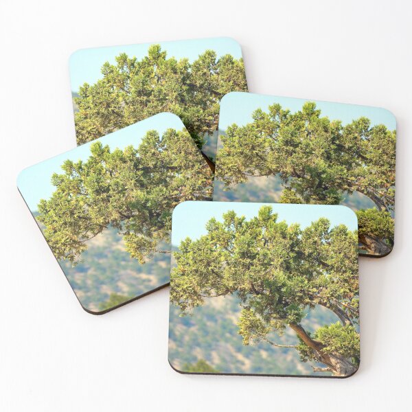 Item preview, Old juniper designed and sold by Shoshina.