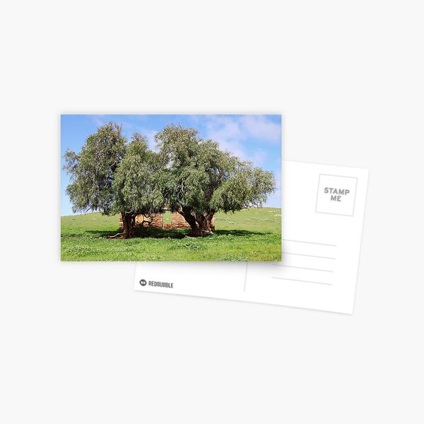 Item preview, ~  Old Settler's Cottage ~ designed and sold by LeeoPhotography.