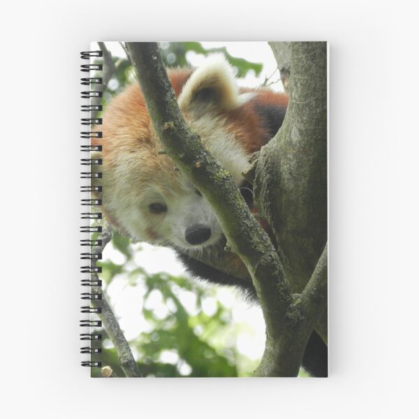 Item preview, Red Panda Print 11 designed and sold by NonfatalNerdism.