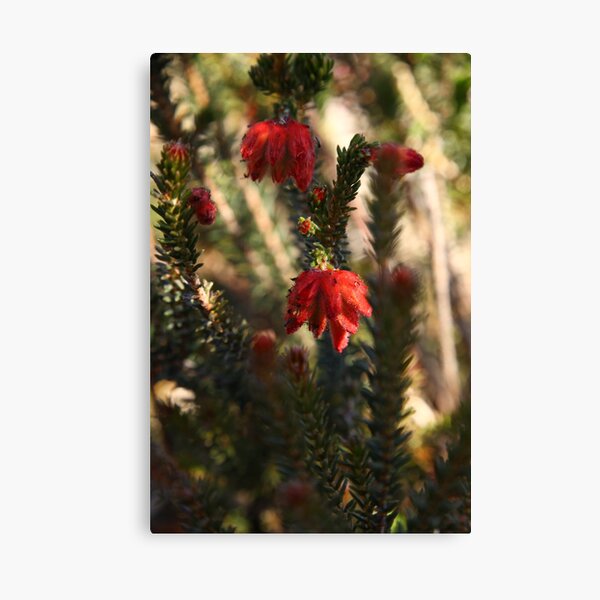 Item preview, The Not So Faraway Garden Series 2 - 07 designed and sold by beeden.