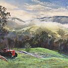 'Admiring the View' by Lynda Robinson