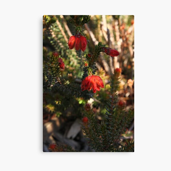 Item preview, The Not So Faraway Garden Series 2 - 08 designed and sold by beeden.