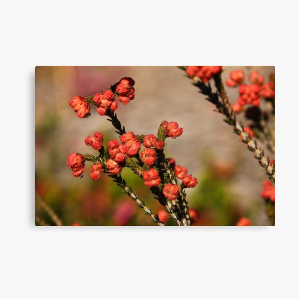 Item preview, The Not So Faraway Garden Series 2 - 13 designed and sold by beeden.