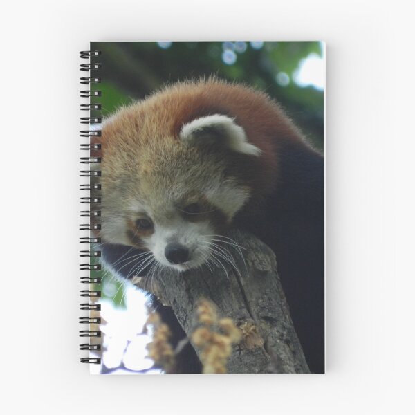 Artikelvorschau, Roter Panda-Druck 15 entworfen und verkauft von NonfatalNerdism.