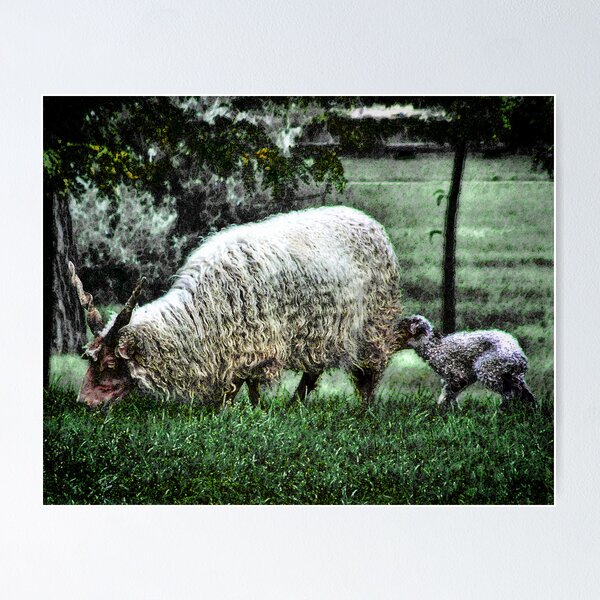 Aperçu de l'œuvre Ewe and Lamb créée et vendue par mimulux.