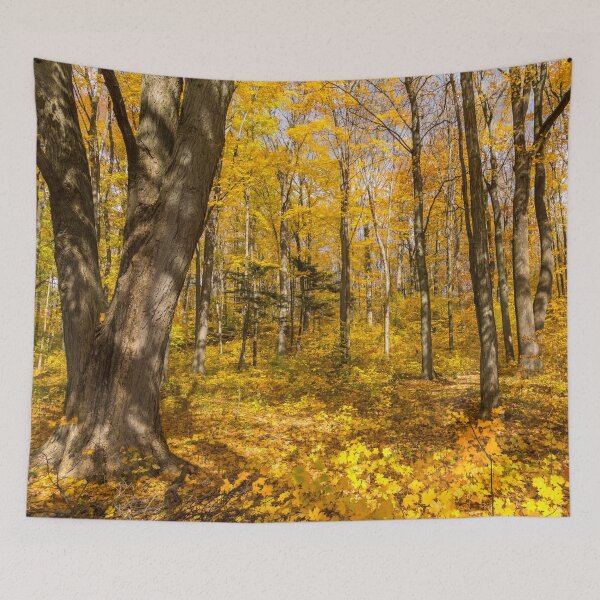 Item preview, Golden Fall Magic - Sun Dappled Autumn Forest  designed and sold by Georgia Mizuleva.