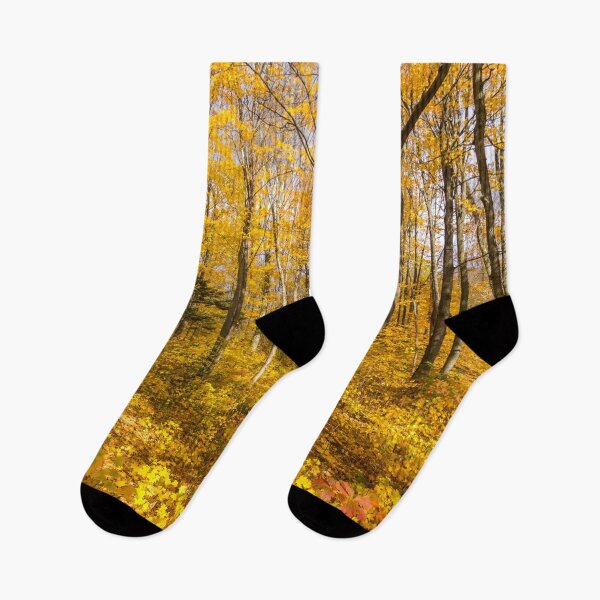 Item preview, Golden Fall Magic - Sun Dappled Autumn Forest  designed and sold by Georgia Mizuleva.