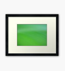 Envy Framed Print