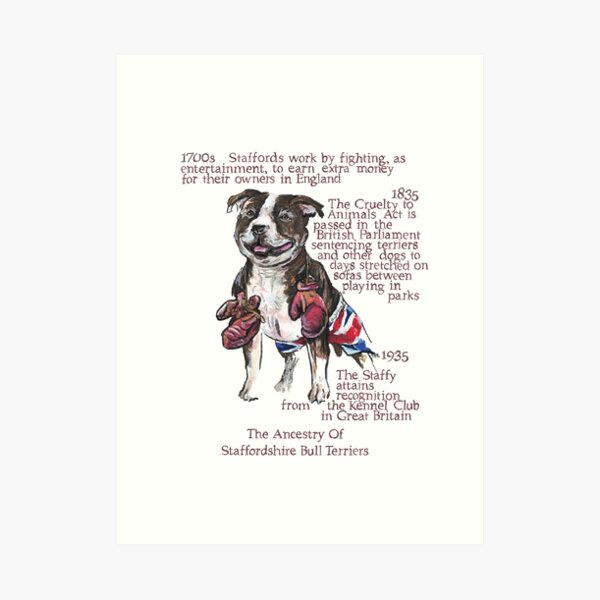 Staffordshire Bull Terrier History Art Print