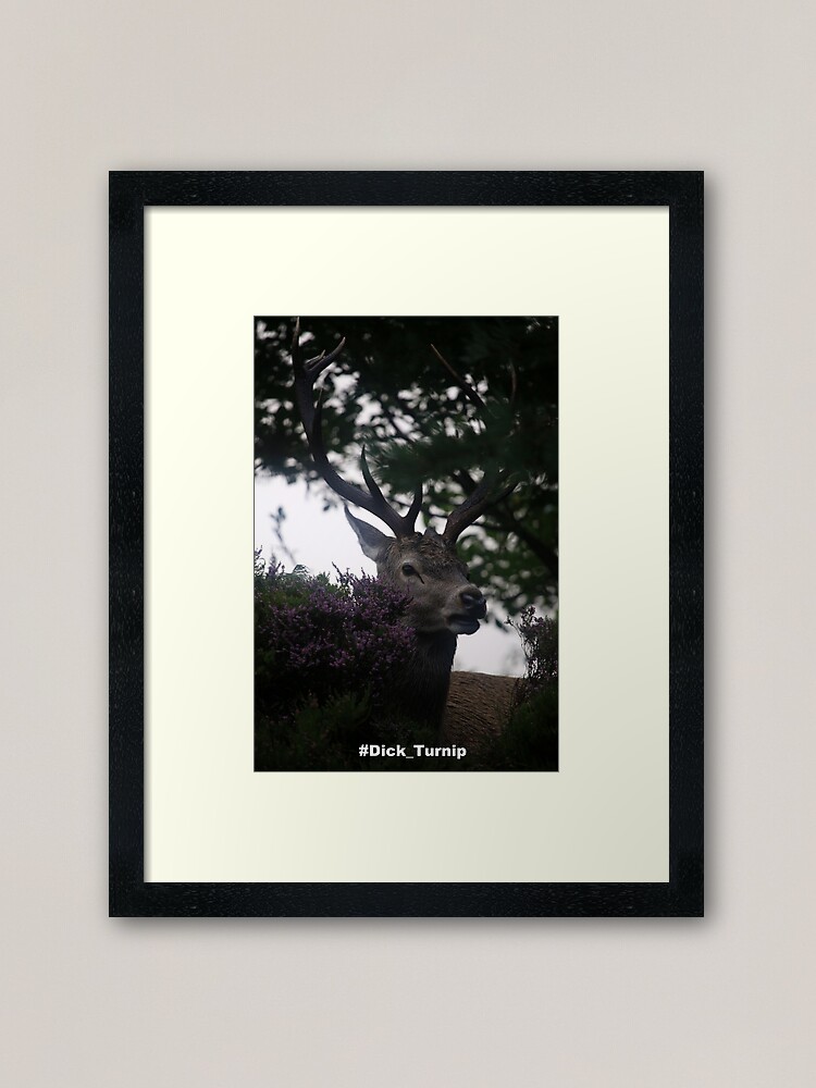 Alternate view of Dick_Turnip Framed Art Print