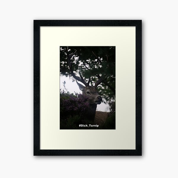 Dick_Turnip Framed Art Print