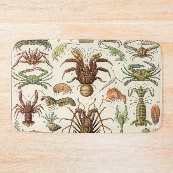 Item preview, Crustacea designed and sold by Salocin.