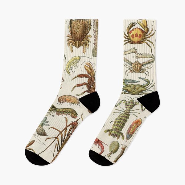 Item preview, Crustacea designed and sold by Salocin.