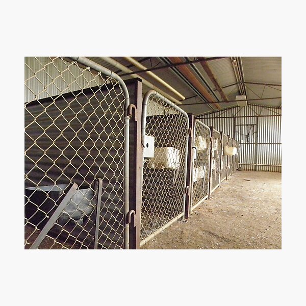 Item preview, Maternity Unit designed and sold by Paul Campbell  Photography.
