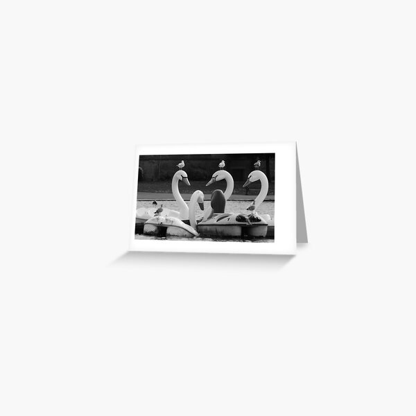 The Pedalos Greeting Card