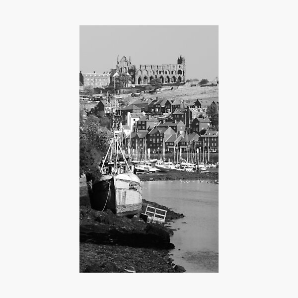 River Esk Estuary Photographic Print