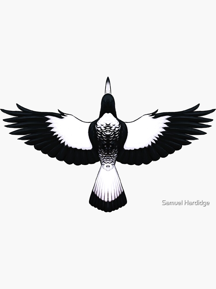 Magpie by 48Tuesdays