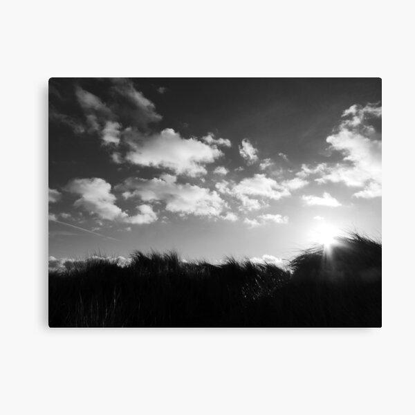 Dunes Canvas Print