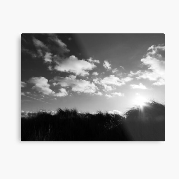 Dunes Metal Print