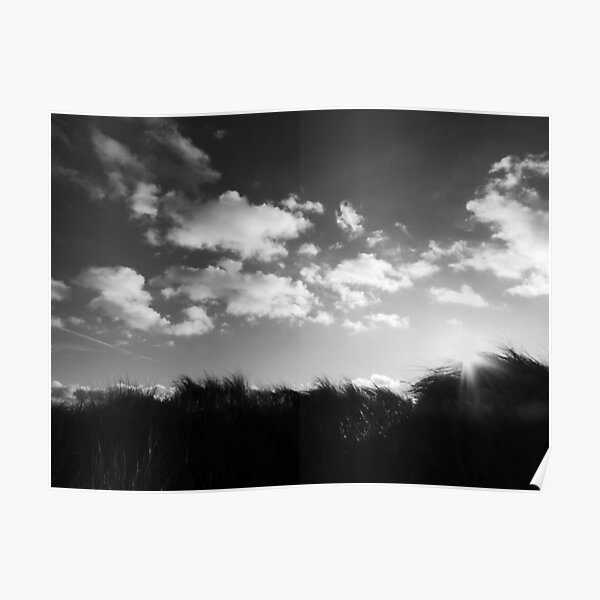 Dunes Poster