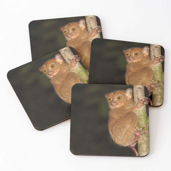 Item preview, Western Tarsier designed and sold by Steve Bulford.