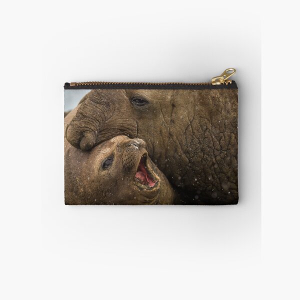 Item preview, Southern Elephant Seals designed and sold by Steve Bulford.