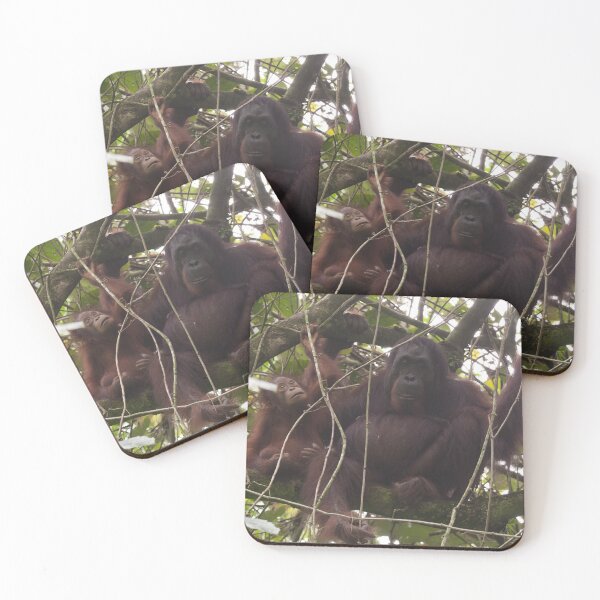 Item preview, Orangutan Family - Borneo designed and sold by Steve Bulford.