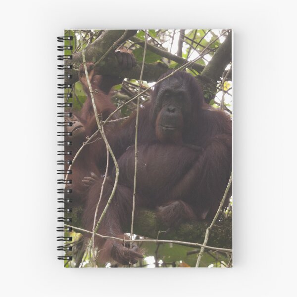 Item preview, Orangutan Family - Borneo designed and sold by Steve Bulford.