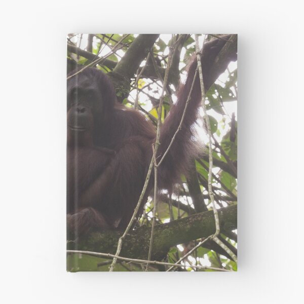 Item preview, Orangutan Family - Borneo designed and sold by Steve Bulford.
