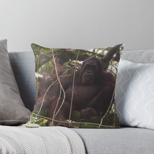 Item preview, Orangutan Family - Borneo designed and sold by Steve Bulford.