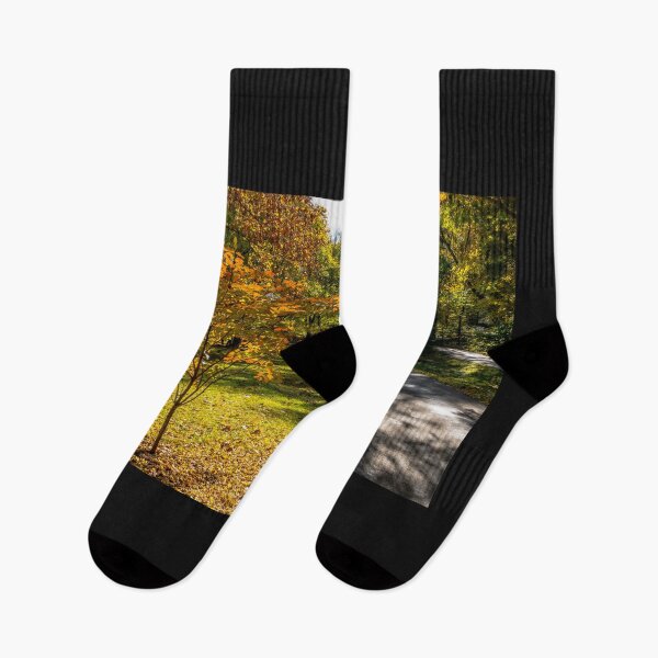 Item preview, Autumn Shadows Walkway designed and sold by mljdwhite.
