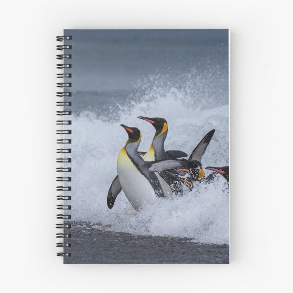 Item preview, King Penguins Arrive designed and sold by Steve Bulford.