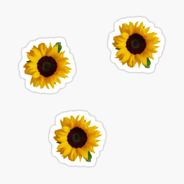 Sunflowers Sticker