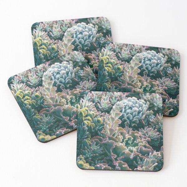 Item preview, Mornings In The Succulent Garden #1 designed and sold by ALICIA BOCK.