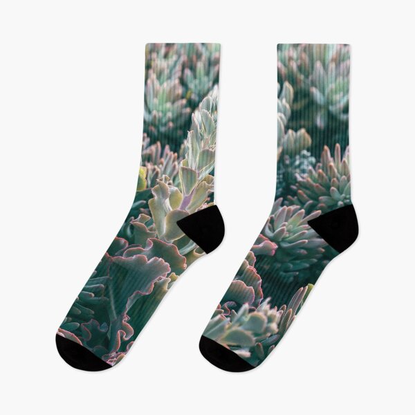 Item preview, Mornings In The Succulent Garden #1 designed and sold by ALICIA BOCK.