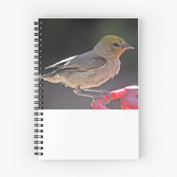 Item preview, YELLOW HEADED WARBLER ON PERCH designed and sold by JAYMILO.