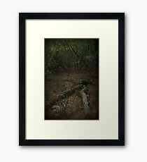 Letting Go Framed Print