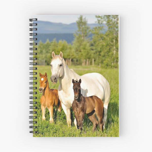Item preview, Mare Adopts A Second Foal designed and sold by robynmumford.