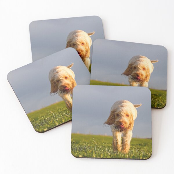 Item preview, Time to taste the wind Spinone designed and sold by FOLK ART FUSION.