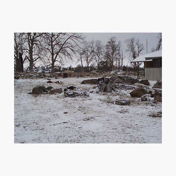 winter snow falling Photographic Print