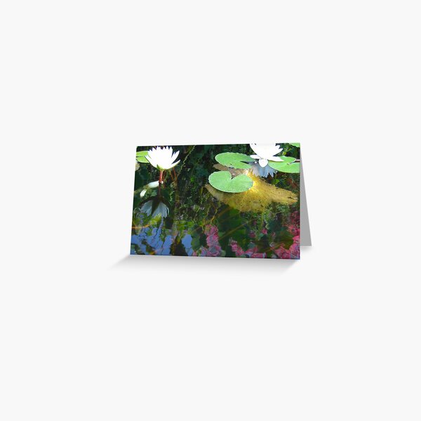 REFLECTIONS Greeting Card