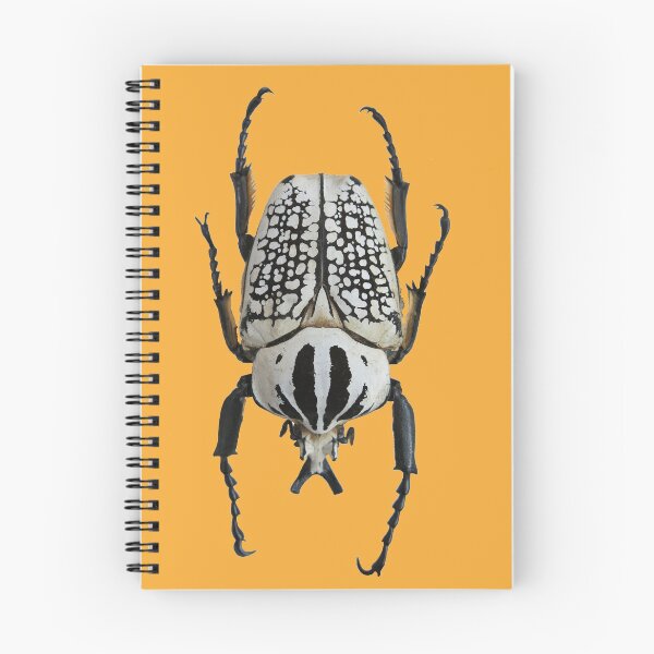 Item preview, Fantastic Goliath Beetle!  designed and sold by TTWG.