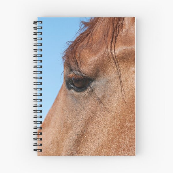 Item preview, Chestnut Stallion designed and sold by robynmumford.