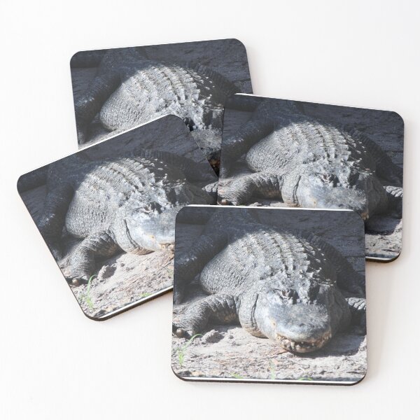 Item preview, A Gator Moment designed and sold by Dana Yoachum.